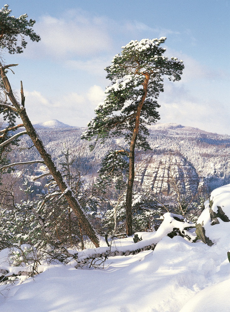 Skifahren